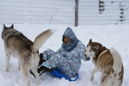 dog and snow play time