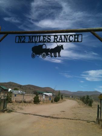 N2 Mules Ranch
