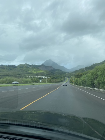 Joann Johnson's album, Hawaii