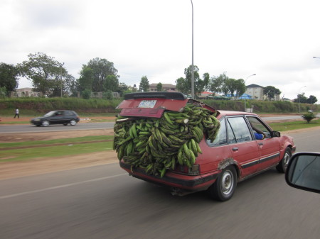 Bananas being transported