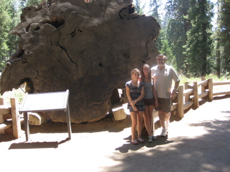 Sequoia Nat'l Park