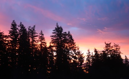 Camano Island Sunrise