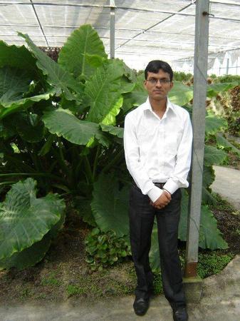 Amit Kumar's Classmates® Profile Photo