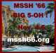 MSSH C/O 66 Big 5-OH! reunion event on Nov 4, 2016 image