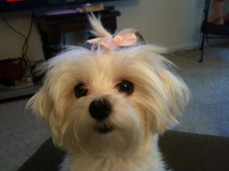 Miette with hair bow