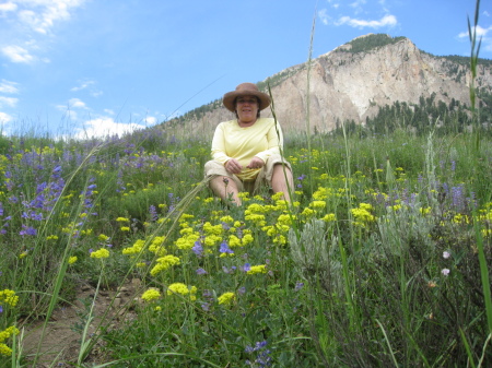 Crested Butte, Colorado