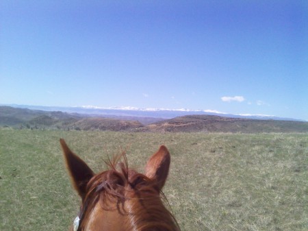 Big Horn Mountains in the background.