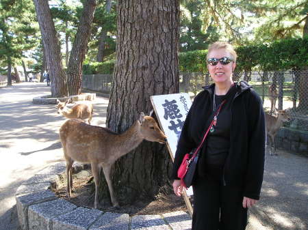 Nara City, Japan