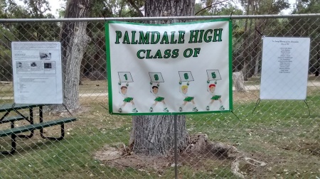 Debbie James' album, Palmstock Class Banners