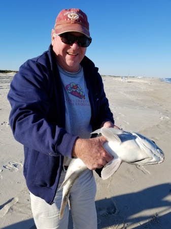 Black drum from the surf