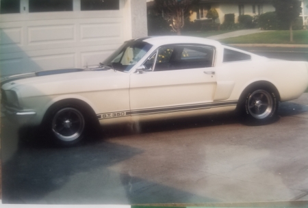 My 66 Mustang