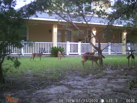 FAWN DAYCARE