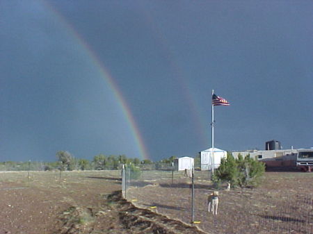 Walter Bubien's album, Arizona Pictures