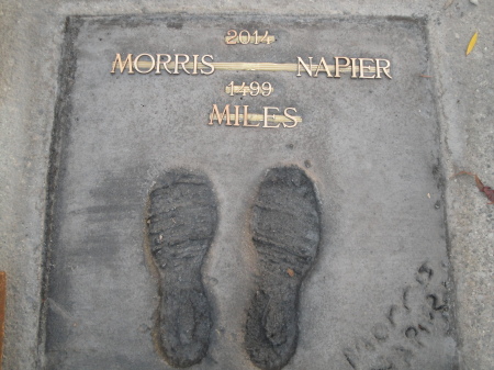 Morris Napier's album, Morris Napier's photo album