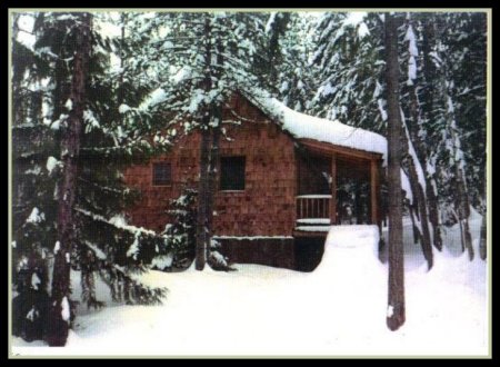 Cabin on 20 acres in North Idaho 1985