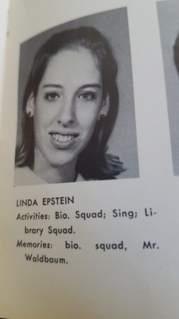 Linda Finkelstein's Classmates profile album