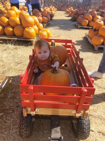 Odette's (ladybug) first pumpkin patch 