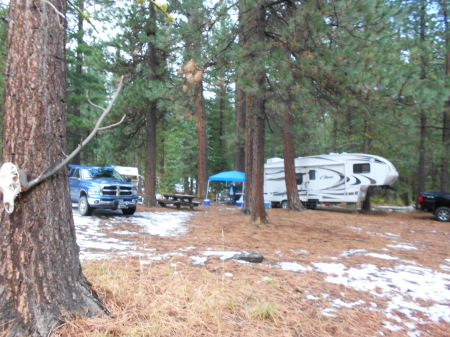Elk Camp 2912