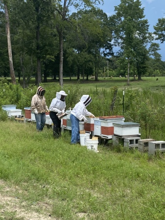 I m 1st from the right, robbing the beehives!