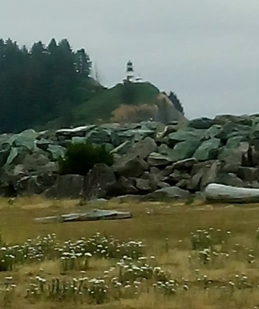 Cape disappointment, wa