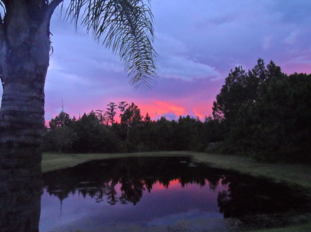 Out back of the house, May 2016