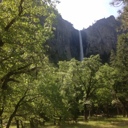 Gilbert McLeod's album, Yosemite