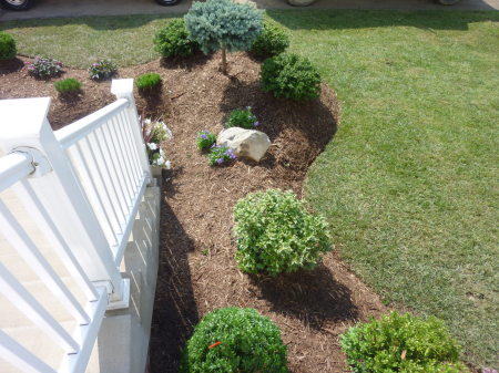 Rob Delaney's album, Yardistry Landscaping