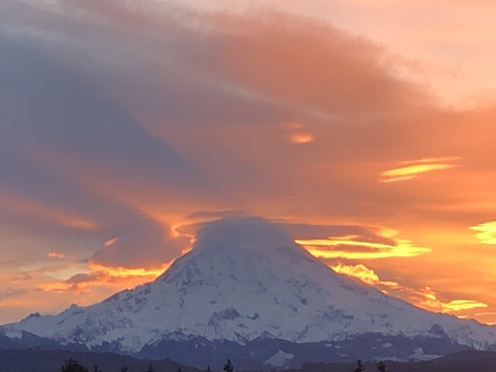 Mt Rainier 