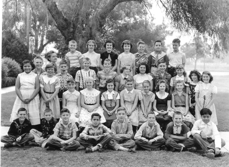 Palm School &amp; Class Pictures