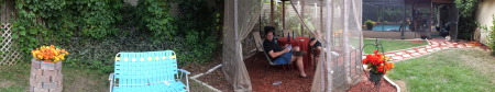 panormaic back yard