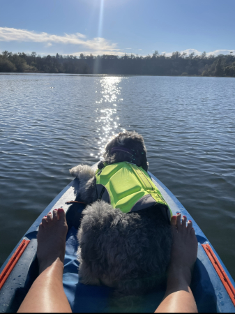 Life is good on your kayak with your dog.