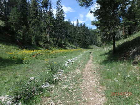 Zinker Canyon Trail in spring time 