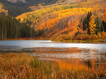 FALL IN COLORADO