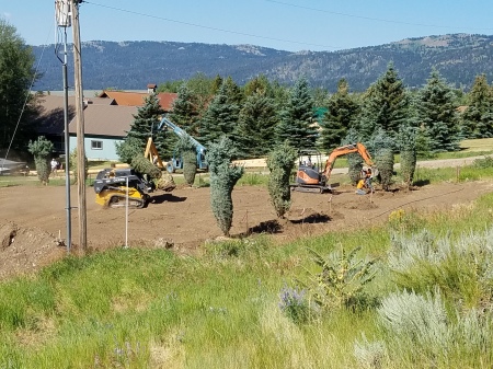 Moving Around the Property Planting