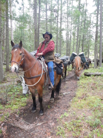 Mule Train