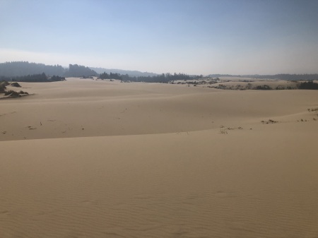 Oregon Sand Dunes