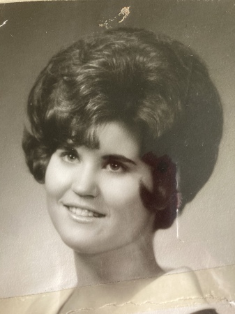 Carol Cobb's Classmates profile album