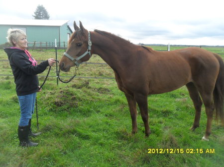 Rubi(Arabian mare) and me