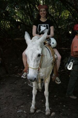 If your gonna ride... ride the white horse