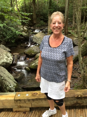 Hiking in the Smokey Mountain National Park 