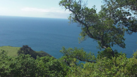 view from NEPENTHE,BIG SUR ,CA.