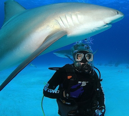 A close encounter with a shark in Bahamas 2017