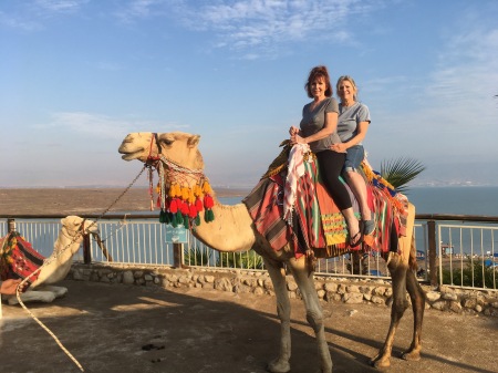 Our Drumadary friend at the Dead Sea.