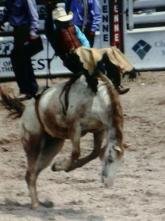 Bronc Rider in Cheyenne