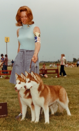 TALOCON Siberian Huskies