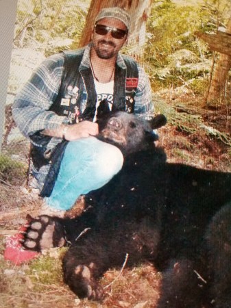 Black bear in Maine