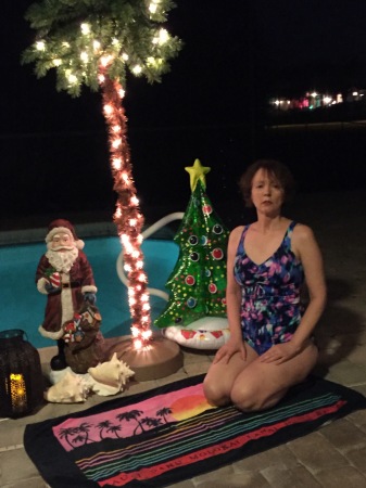 Vicki Martin-Offner's album, Christmas in Florida 2015