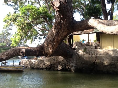 Islands on Lake Nicaragua.