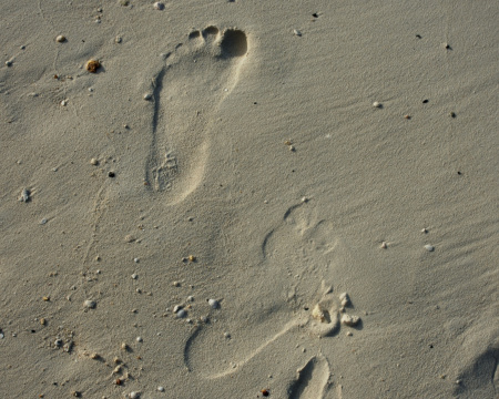 My foot prints in the sand