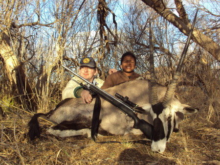 Gemsbok, Limpopo Province, RSA